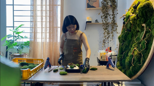 tranh rêu nghệ thuật, nôi studio, kỹ thuật làm tranh rêu