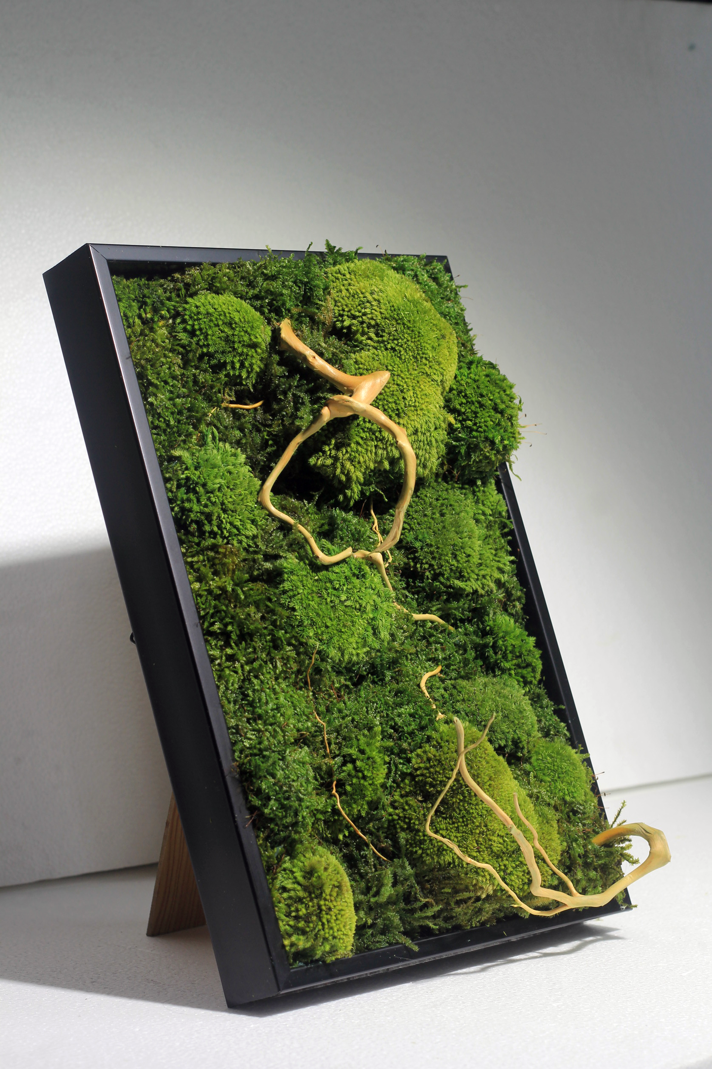 Preserved Moss Frame