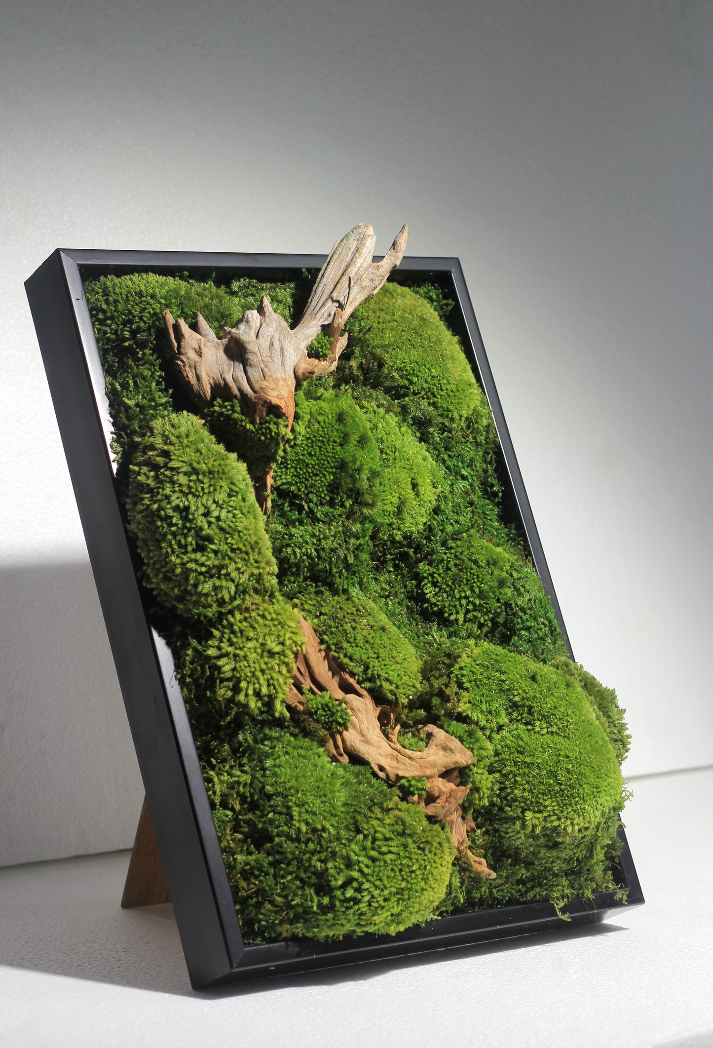 Preserved Moss Frame