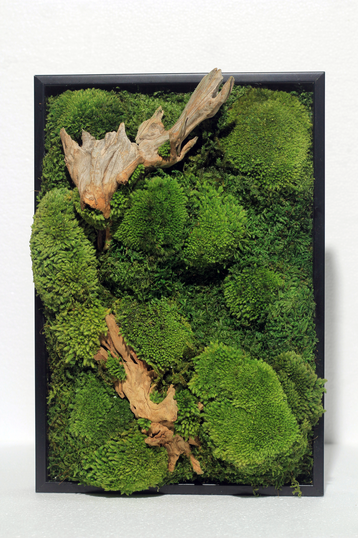 Preserved Moss Frame