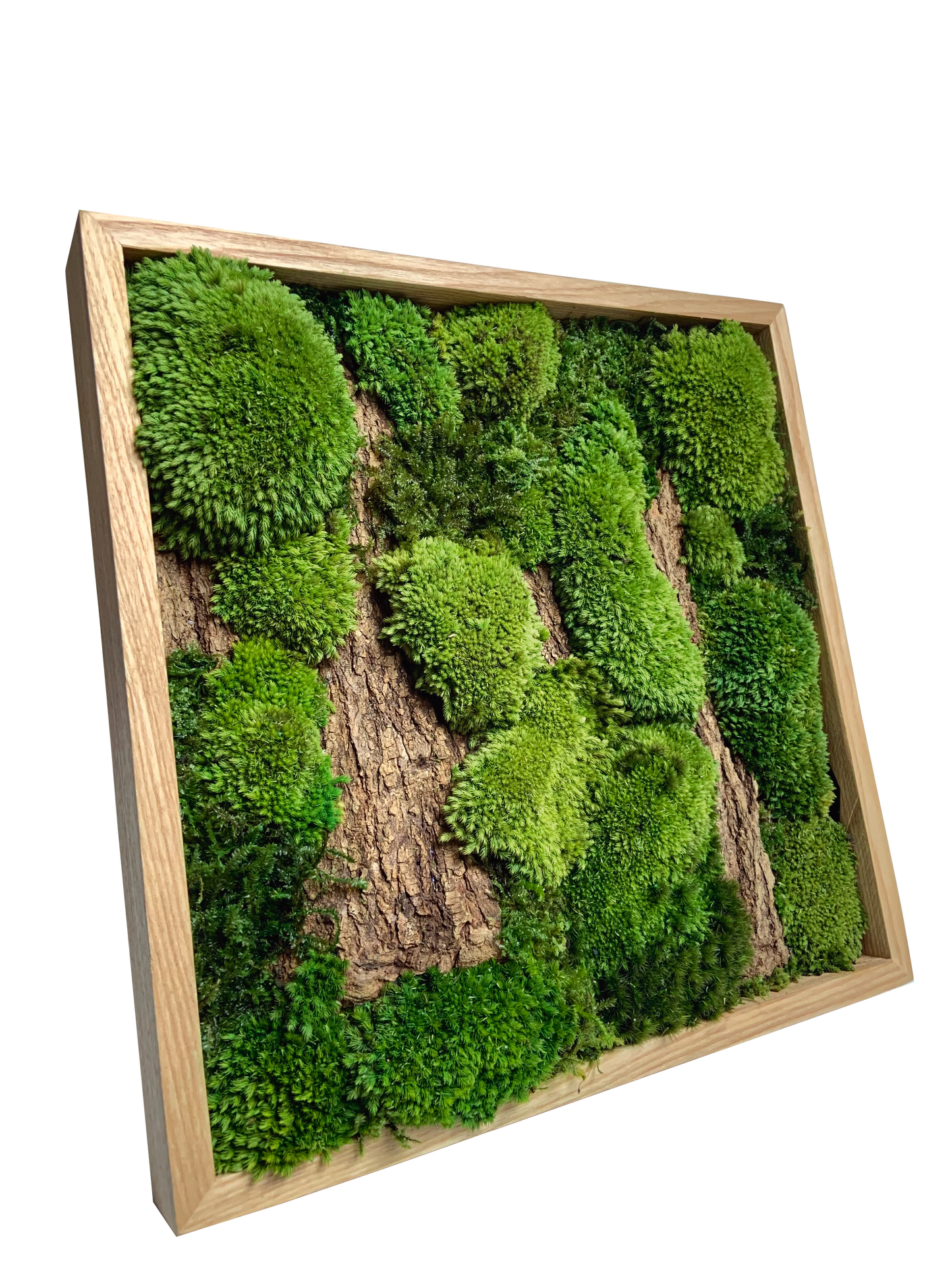Preserved Moss Frame