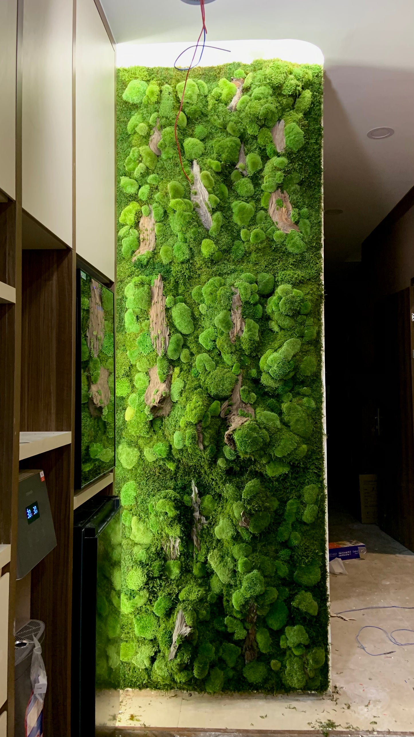 Moss wall