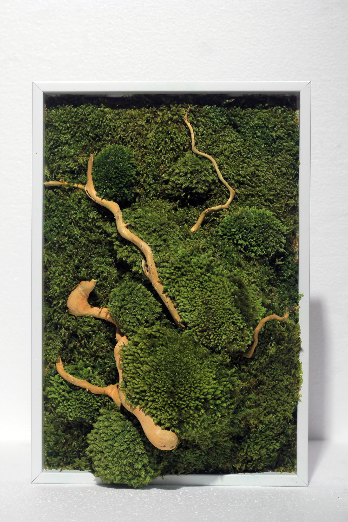 Preserved Moss Frame