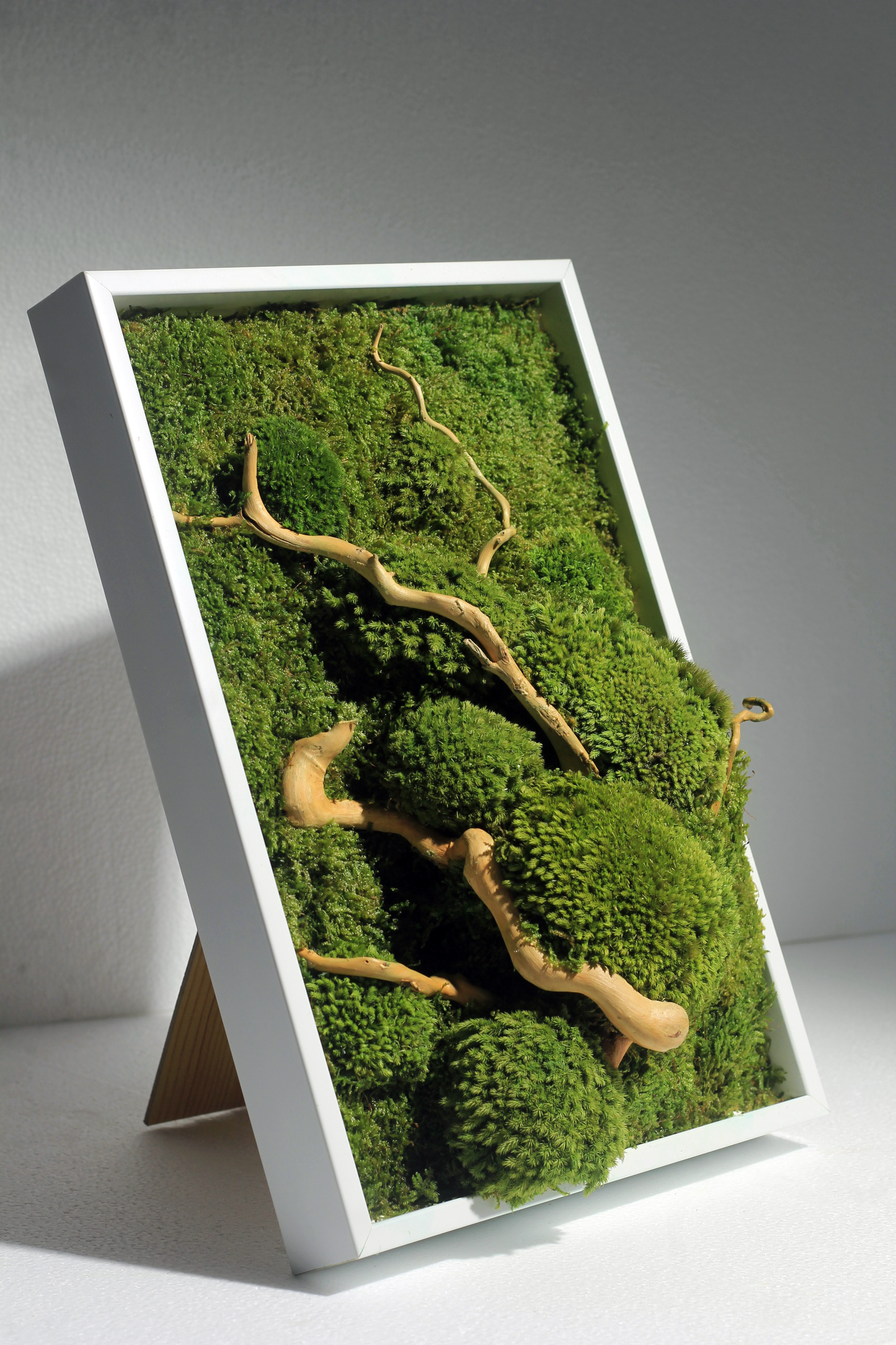 Preserved Moss Frame