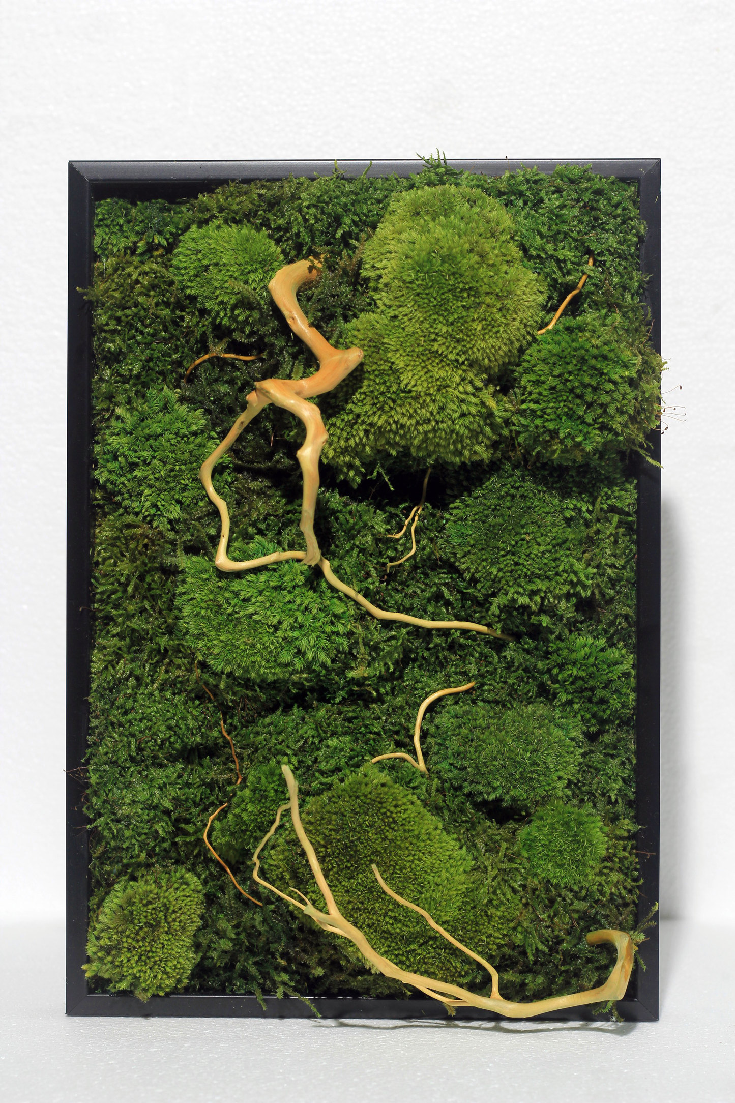 Preserved Moss Frame